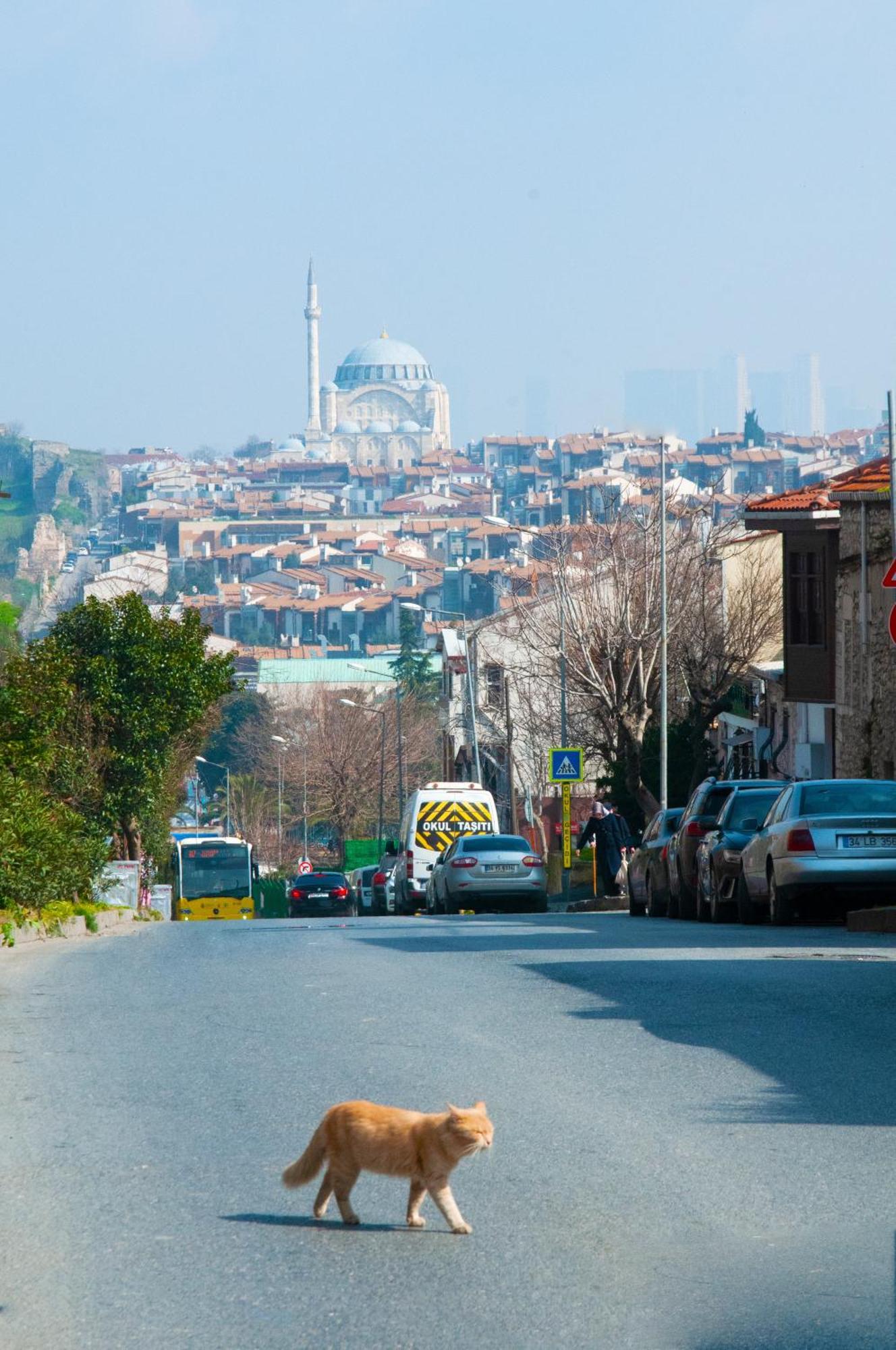 Istanbul Efes Hotel エクステリア 写真
